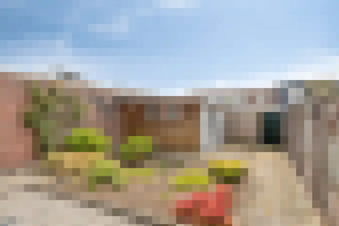 Ganzebloemstraat 3 Bergeijk thumbnail 20