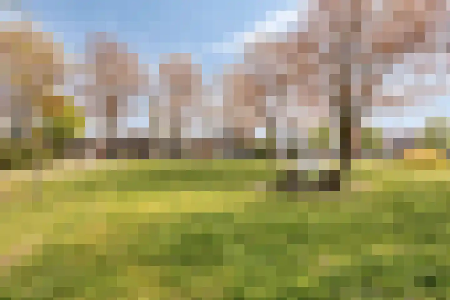 Ganzebloemstraat 3 Bergeijk thumbnail 25