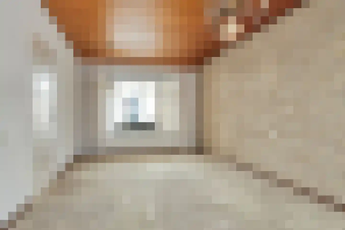 Ganzebloemstraat 3 Bergeijk thumbnail 5