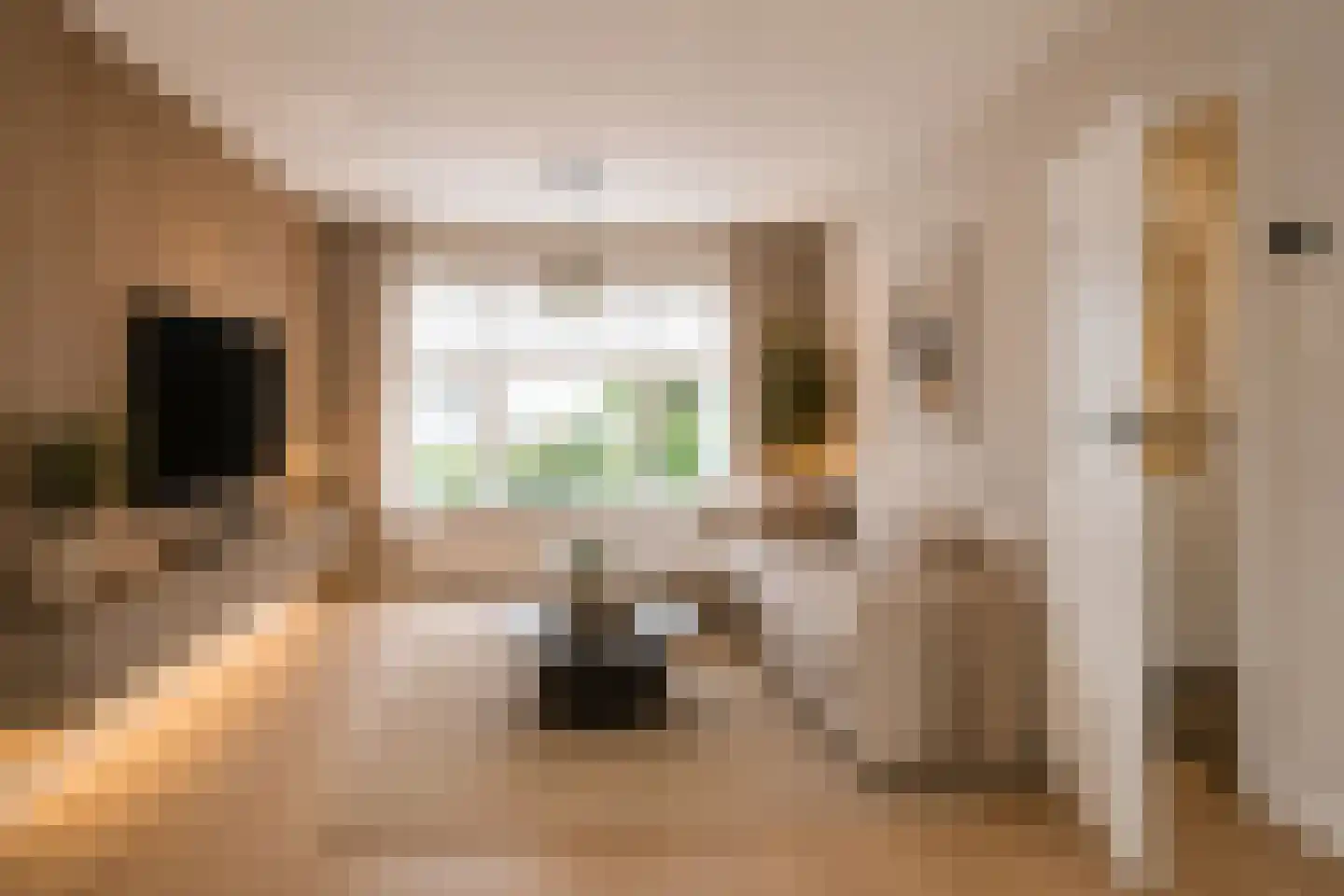 Ganzebloemstraat 3 Bergeijk thumbnail 5