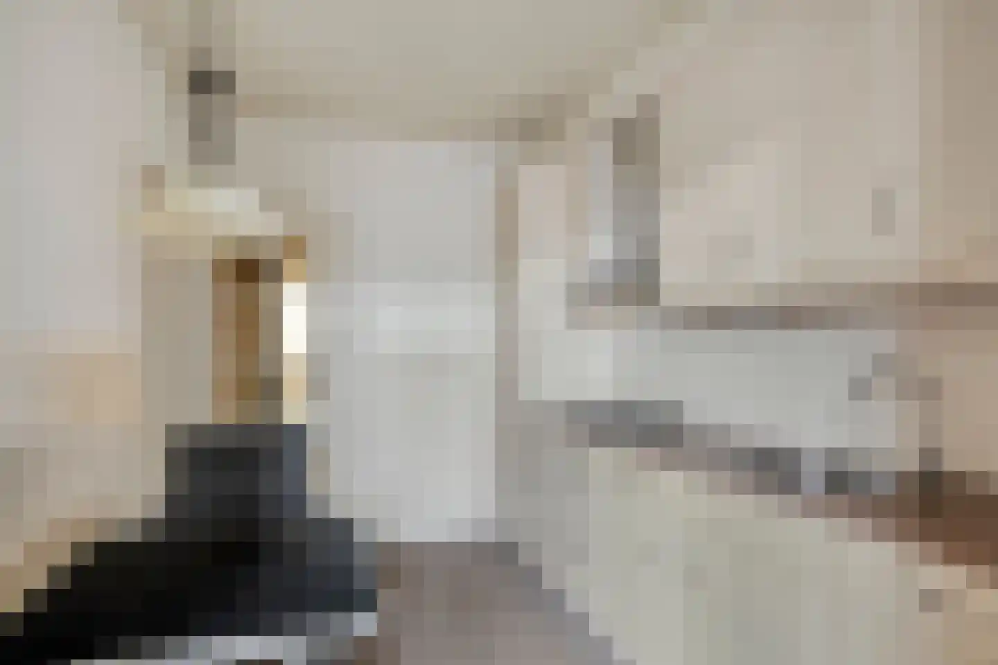 Ganzebloemstraat 3 Bergeijk thumbnail 9