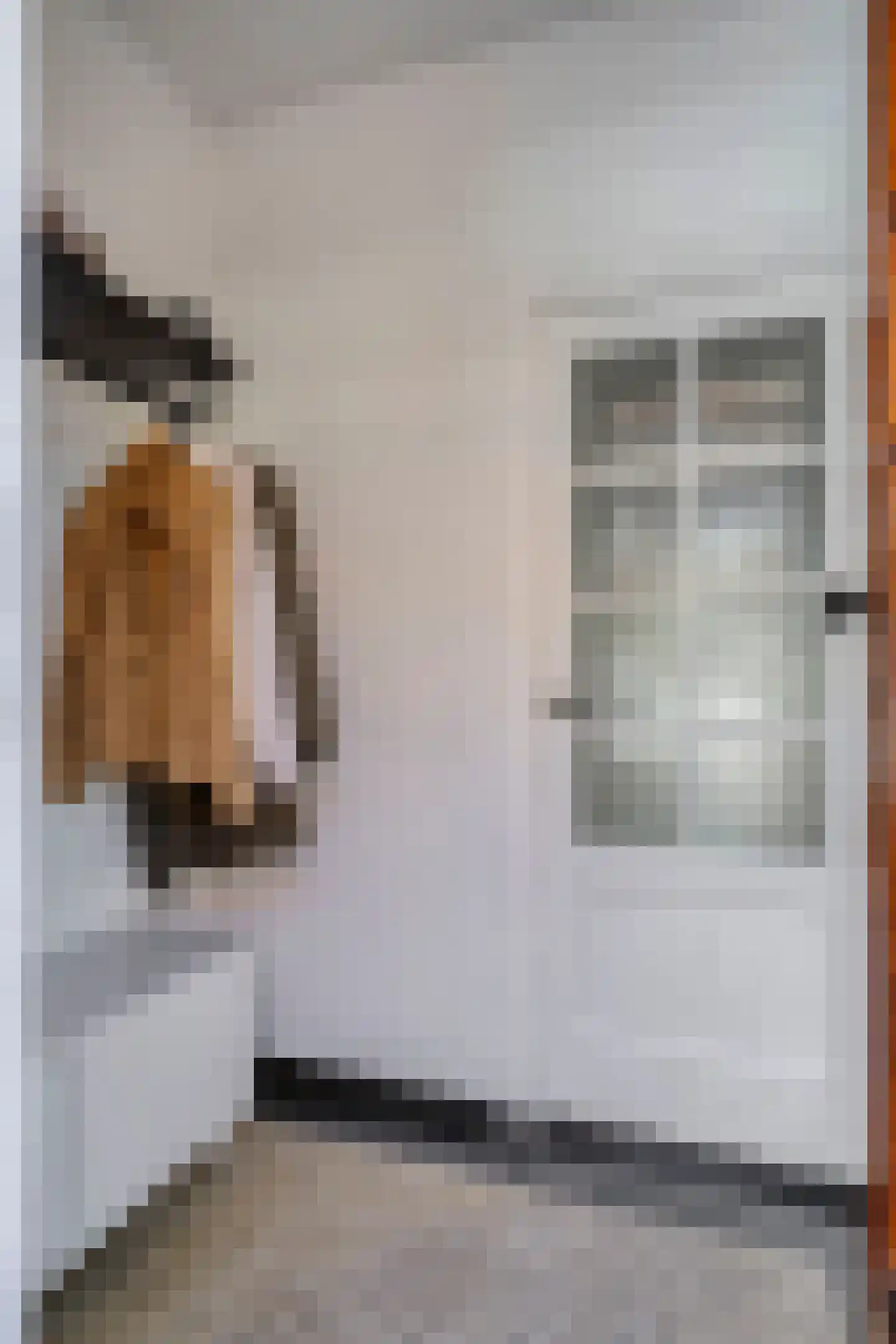 Ganzebloemstraat 34 Eindhoven thumbnail 11