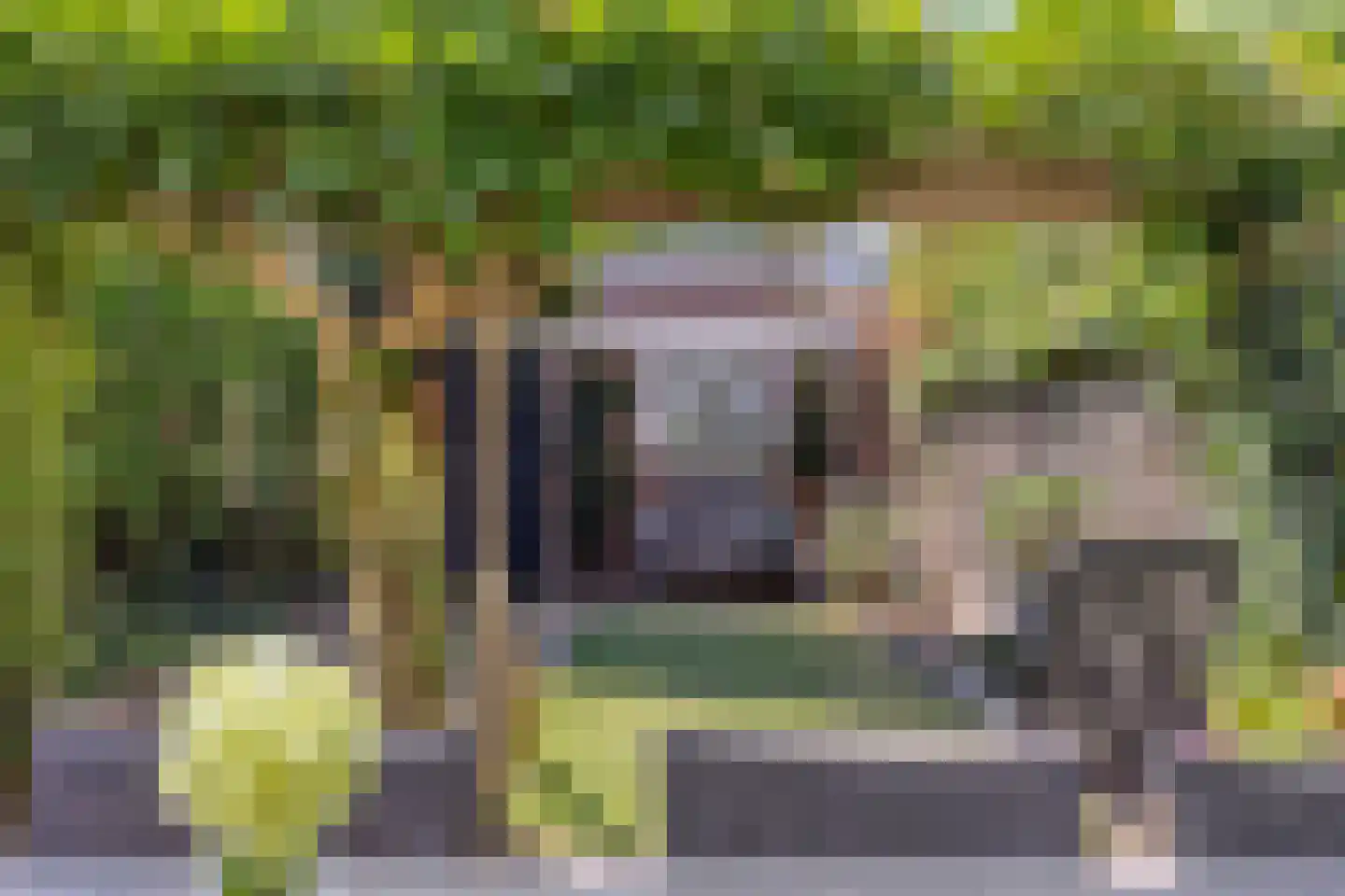 Ganzebloemstraat 34 Eindhoven thumbnail 11