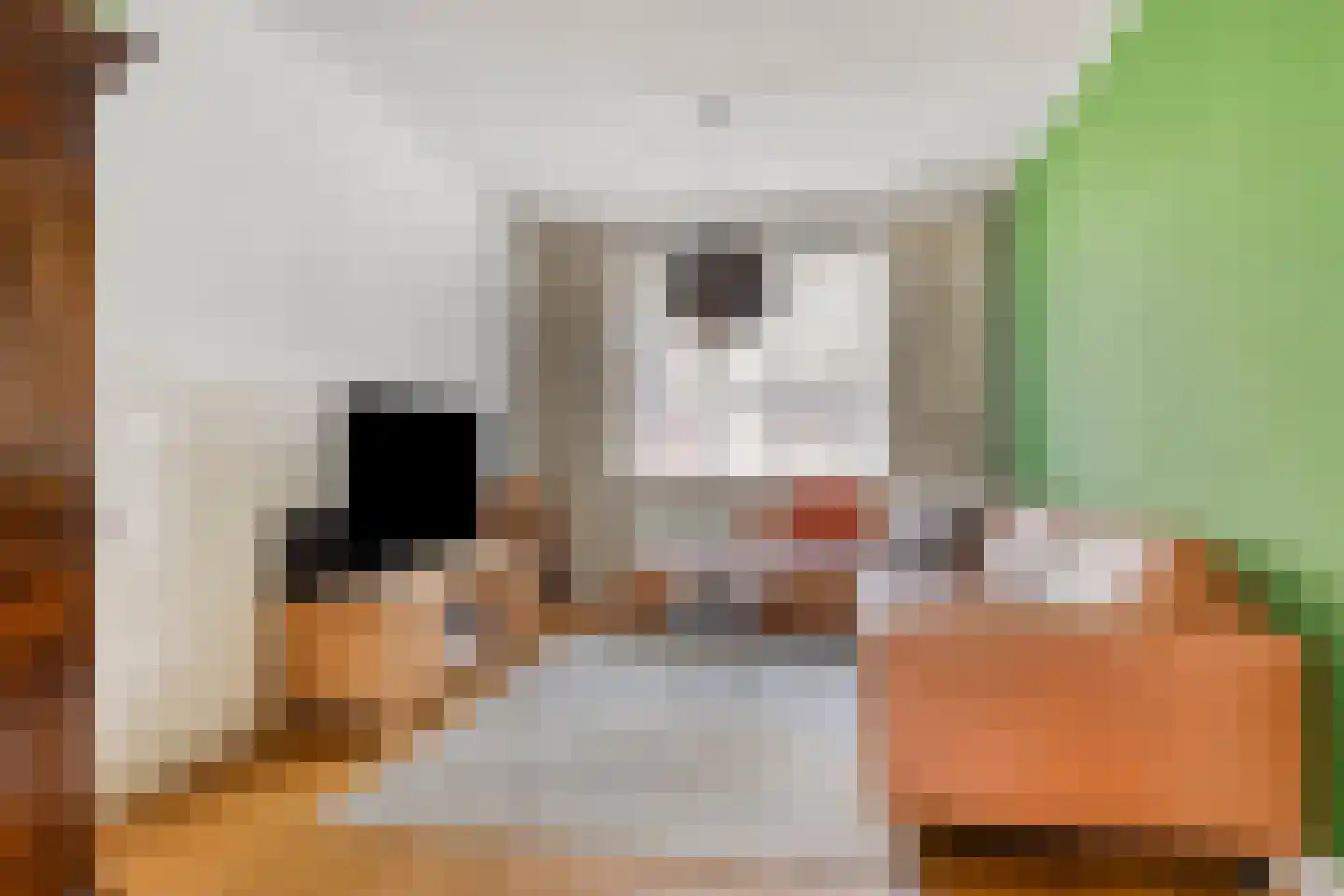 Ganzebloemstraat 34 Eindhoven thumbnail 14