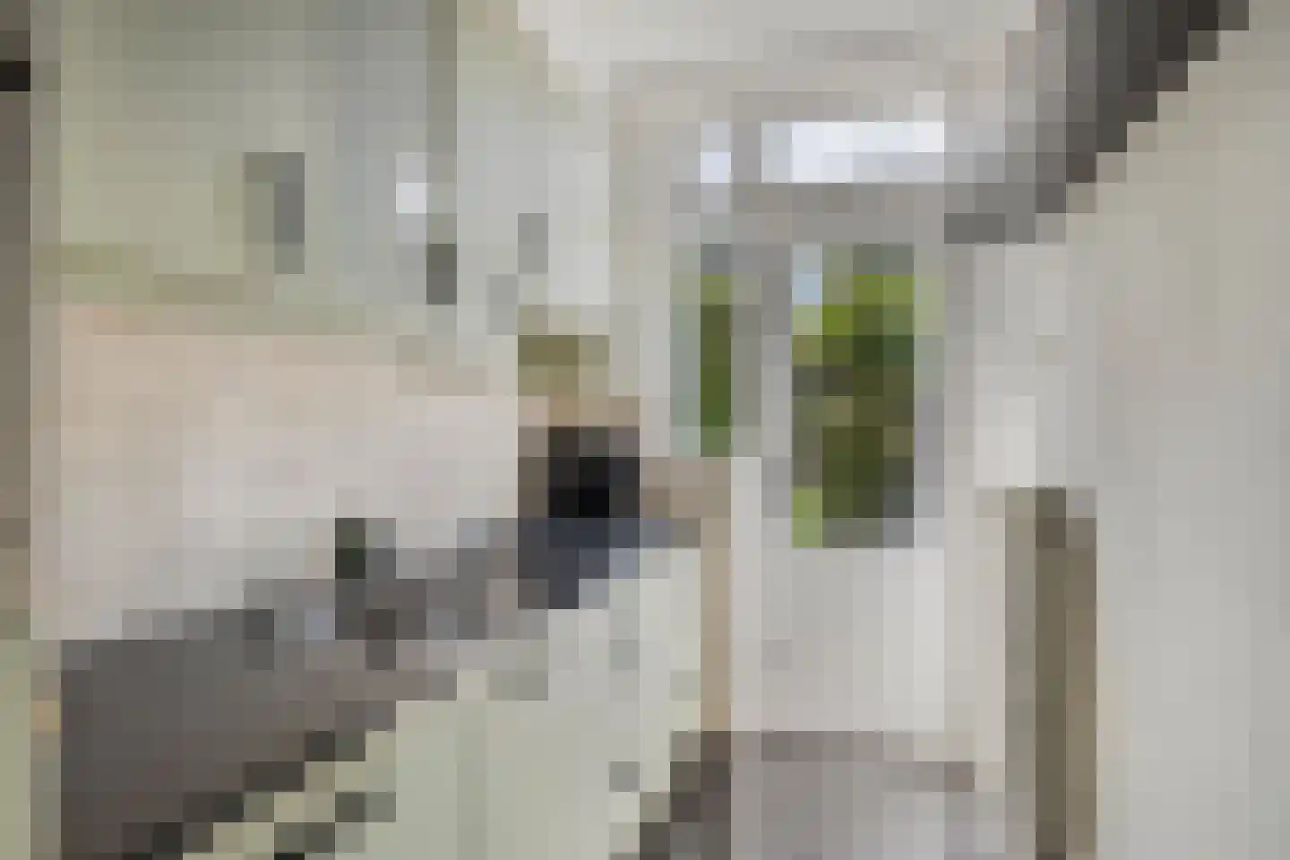 Ganzebloemstraat 34 Eindhoven thumbnail 18