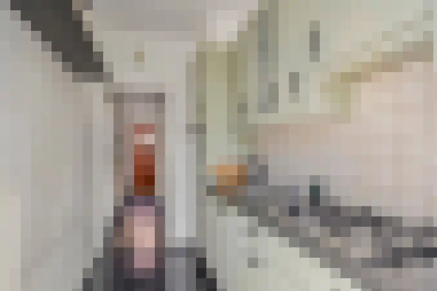 Ganzebloemstraat 34 Eindhoven thumbnail 19