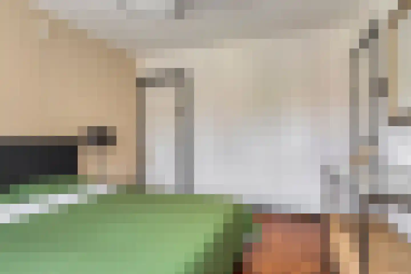 Ganzebloemstraat 34 Eindhoven thumbnail 20
