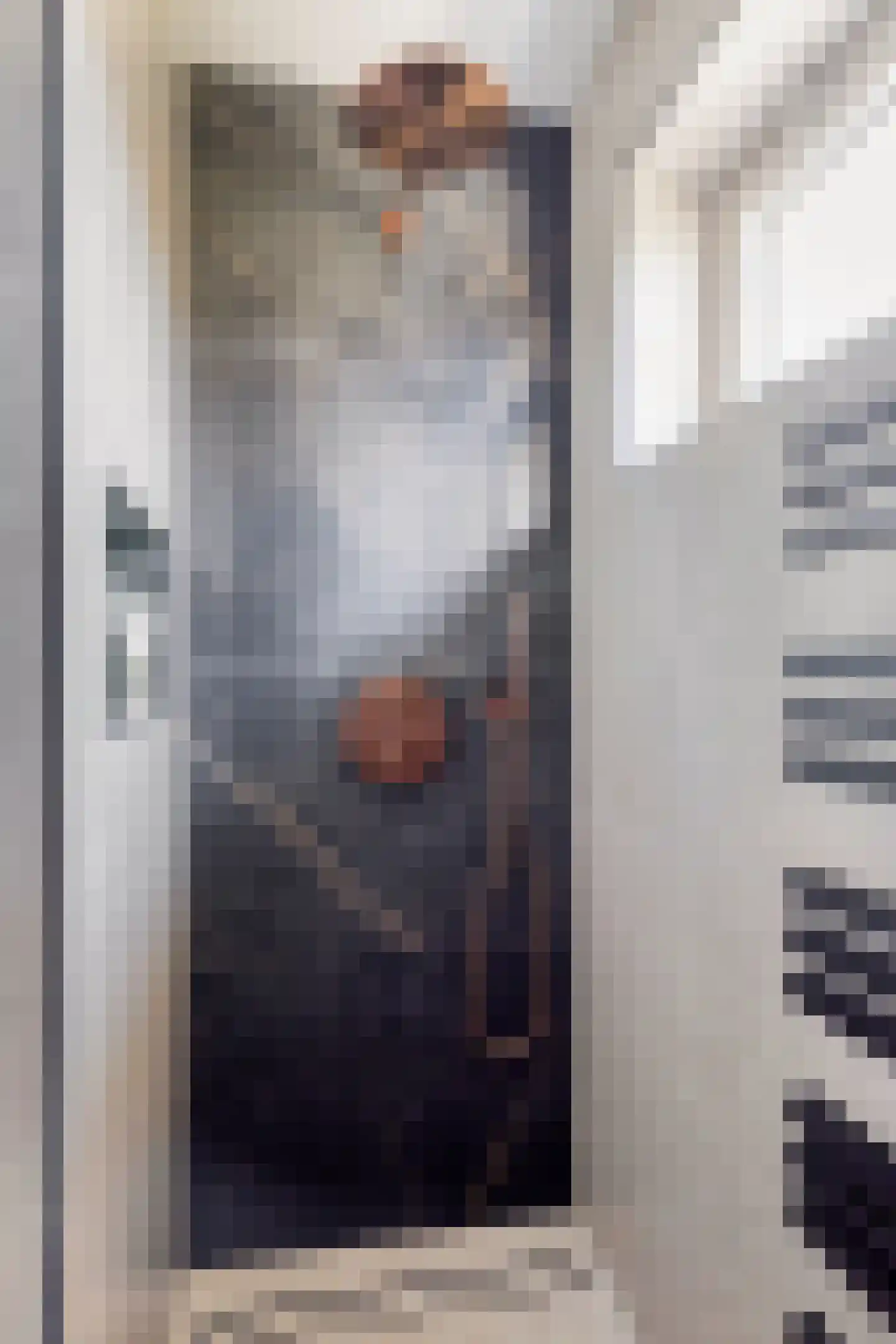 Ganzebloemstraat 34 Eindhoven thumbnail 22