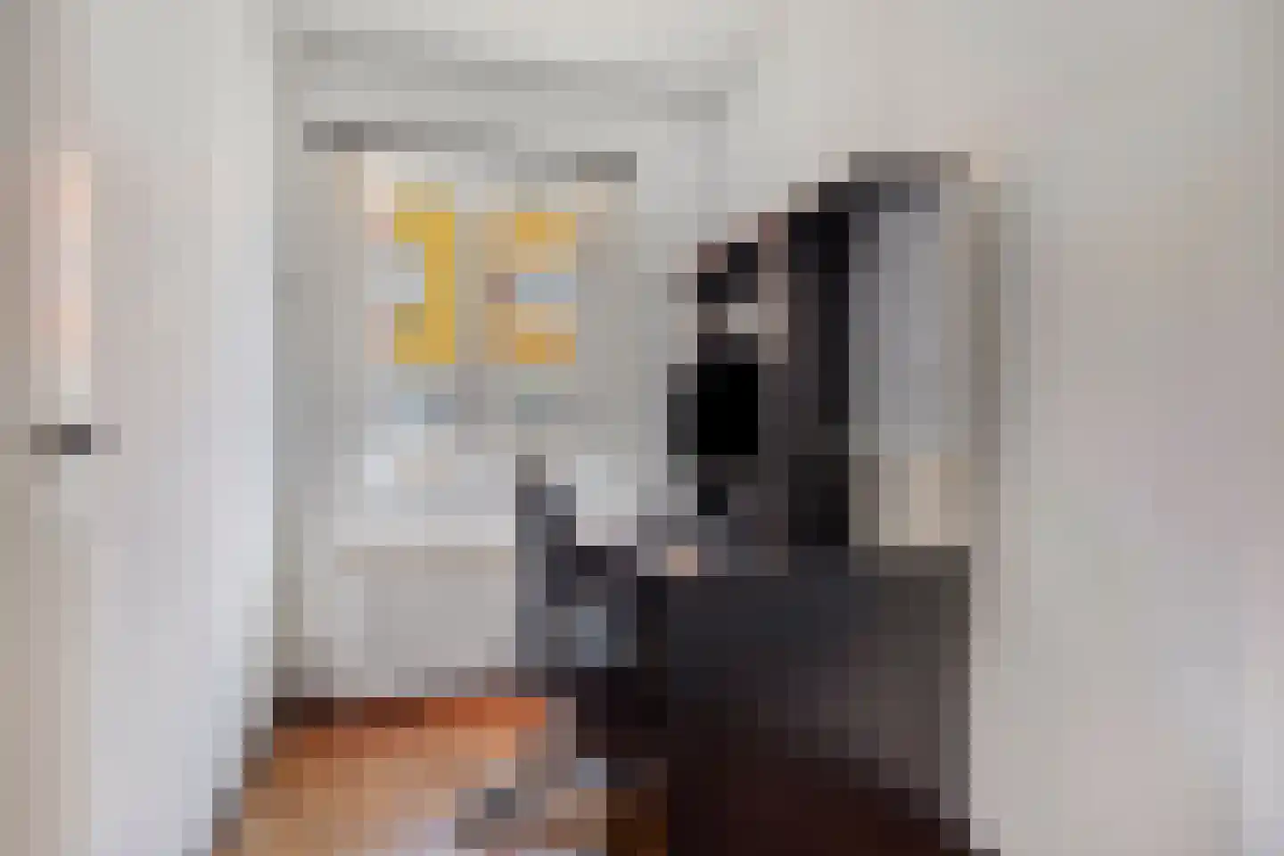 Ganzebloemstraat 34 Eindhoven thumbnail 26