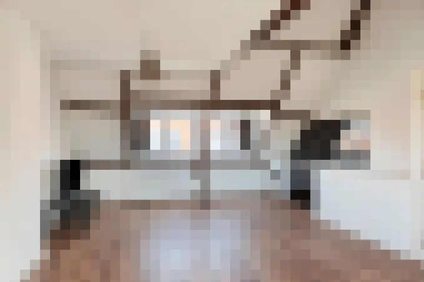 Ganzebloemstraat 34 Eindhoven thumbnail 27