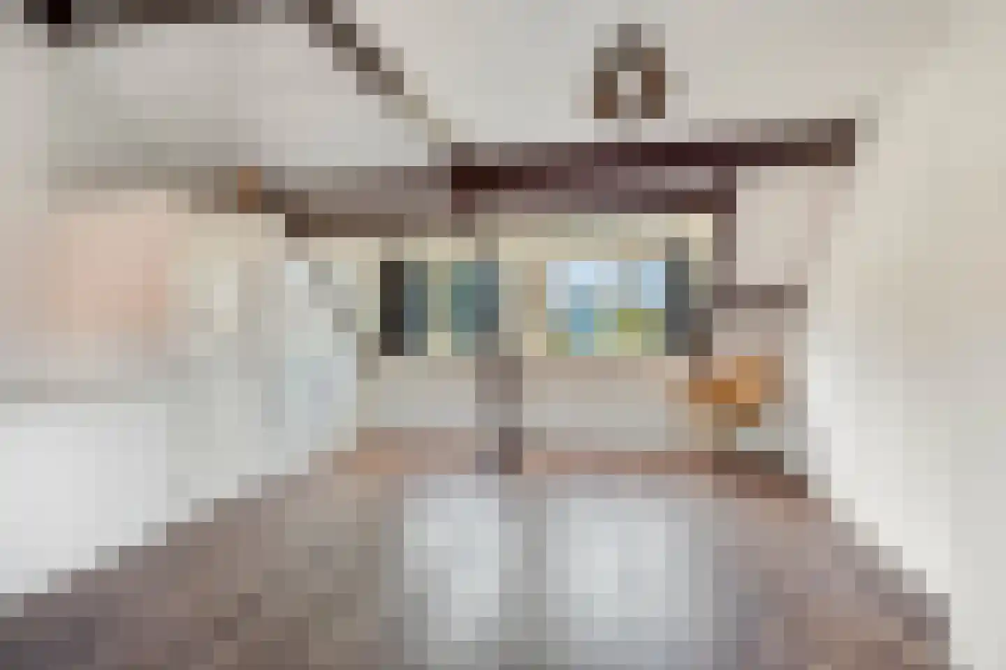 Ganzebloemstraat 34 Eindhoven thumbnail 28