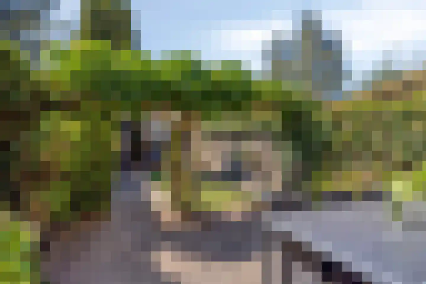 Ganzebloemstraat 34 Eindhoven thumbnail 29