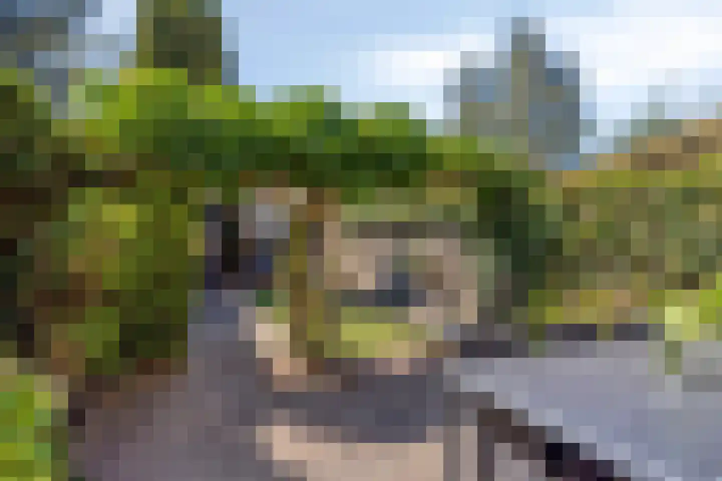Ganzebloemstraat 34 Eindhoven thumbnail 30