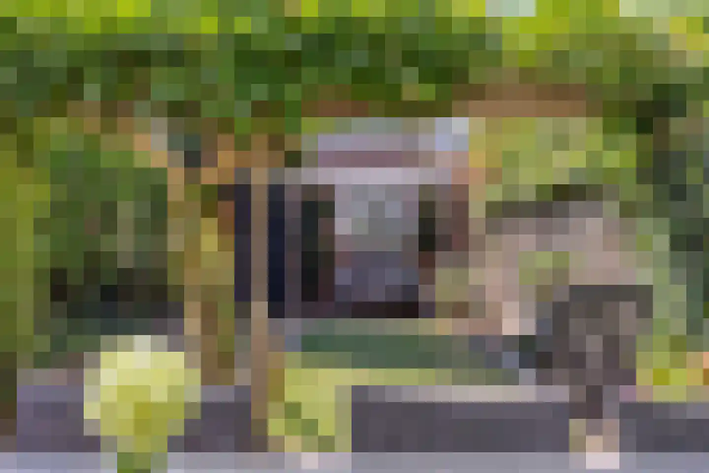 Ganzebloemstraat 34 Eindhoven thumbnail 31