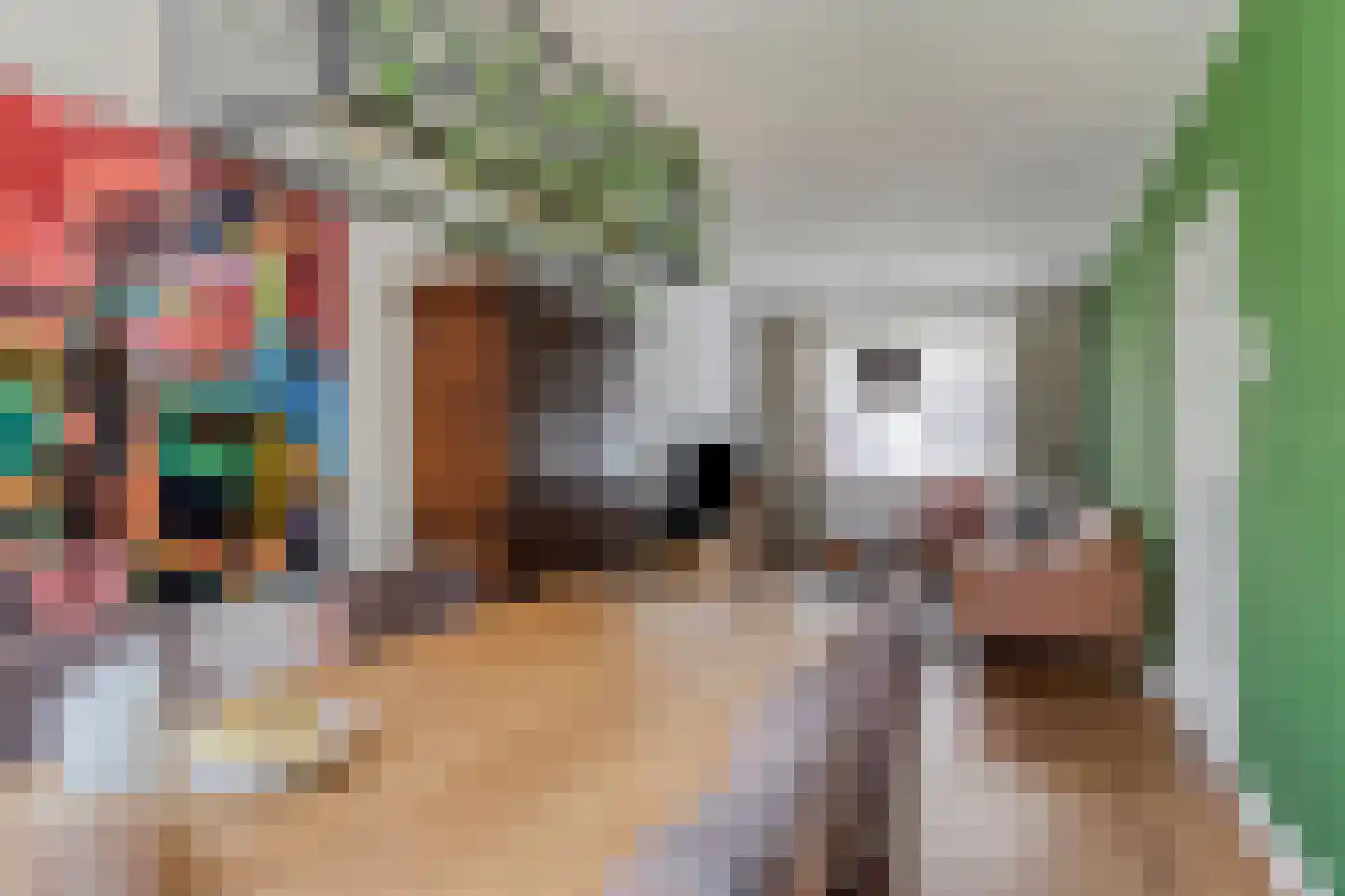 Ganzebloemstraat 34 Eindhoven thumbnail 4