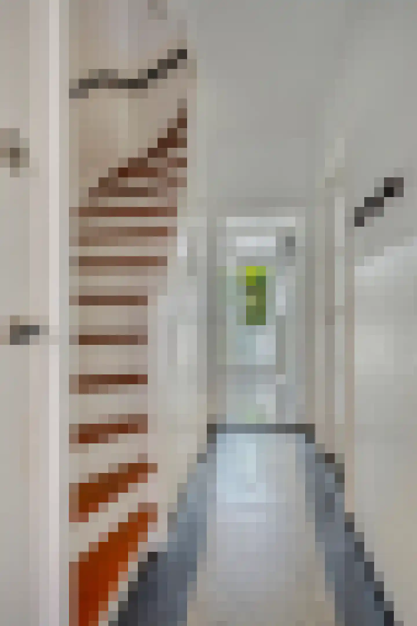 Ganzebloemstraat 34 Eindhoven thumbnail 8