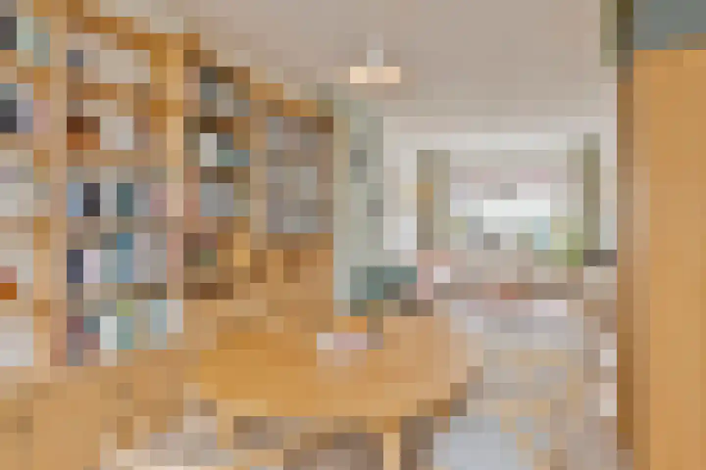 Ganzebloemstraat 45 Eindhoven thumbnail 13