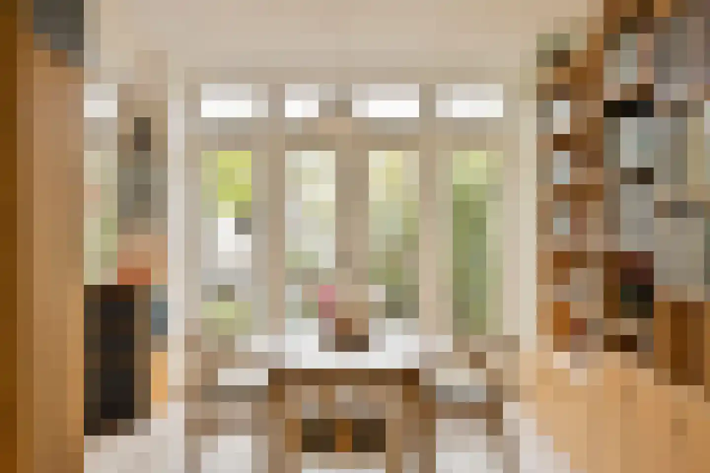 Ganzebloemstraat 45 Eindhoven thumbnail 17