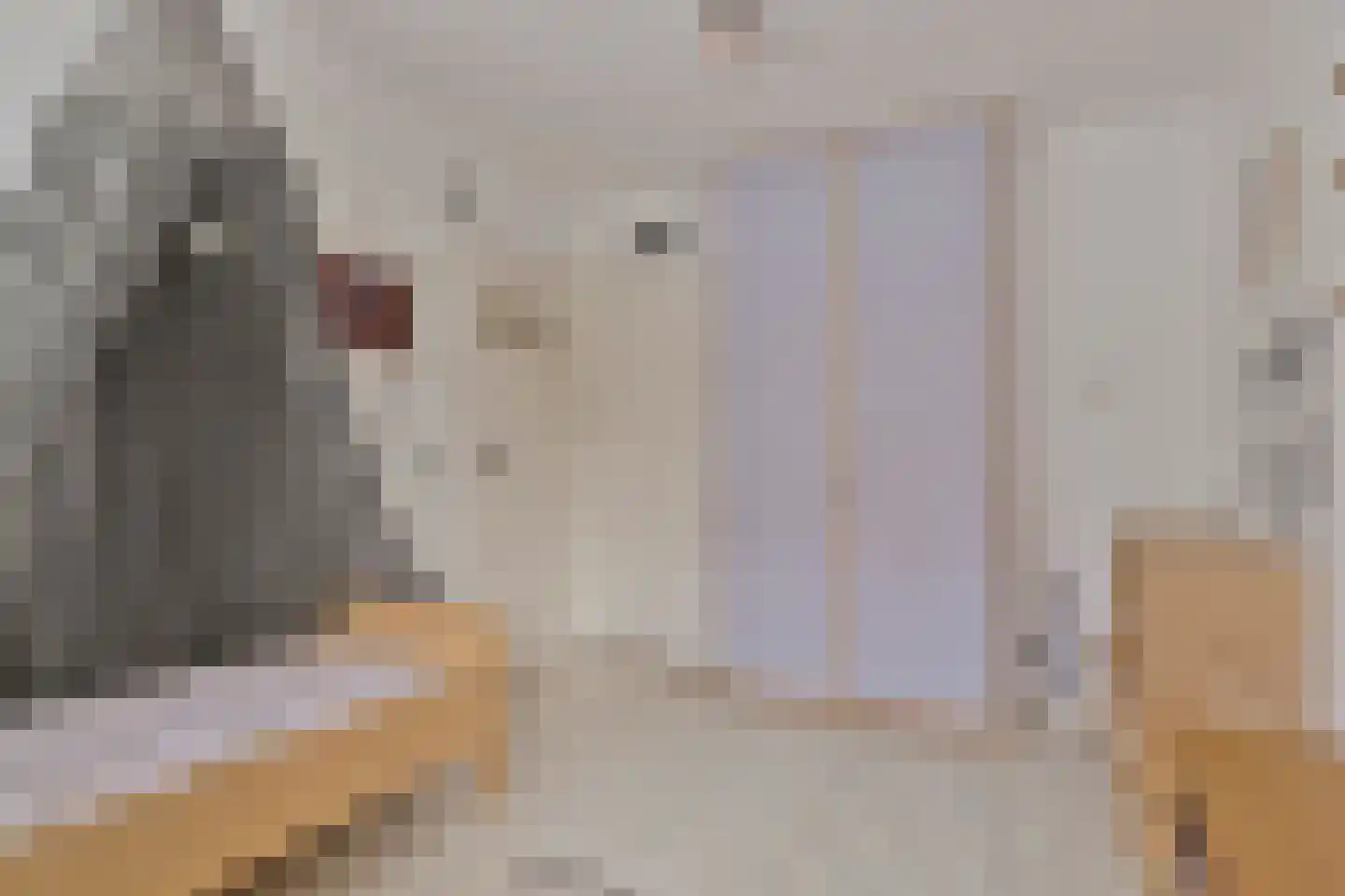 Ganzebloemstraat 45 Eindhoven thumbnail 29