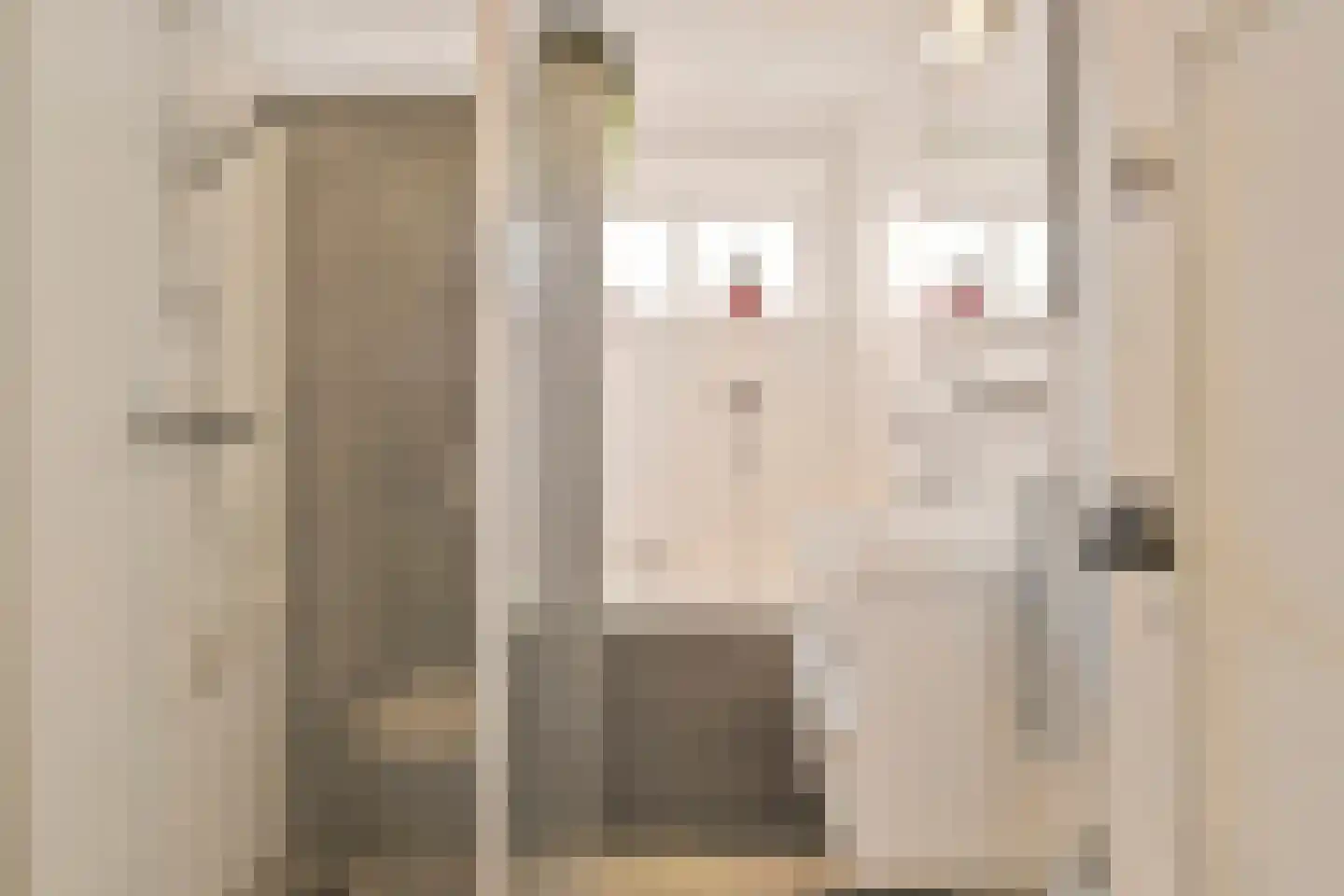 Ganzebloemstraat 45 Eindhoven thumbnail 31