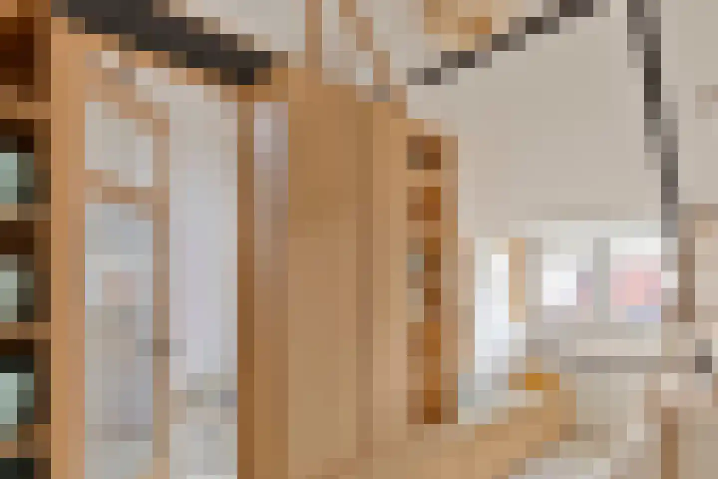 Ganzebloemstraat 45 Eindhoven thumbnail 37