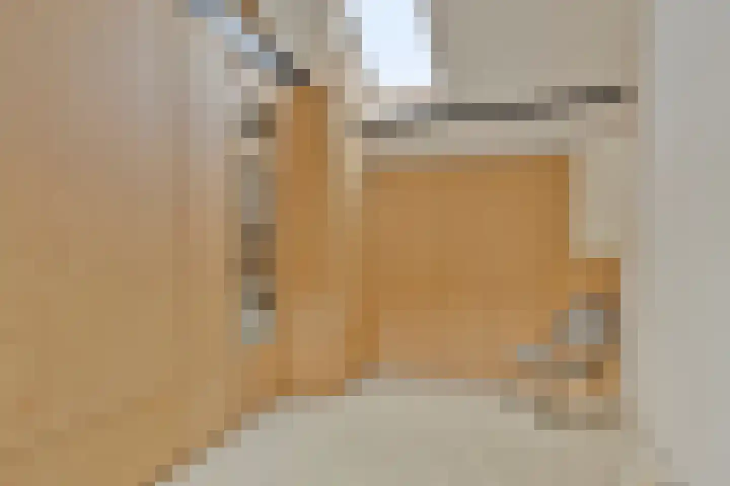 Ganzebloemstraat 45 Eindhoven thumbnail 38