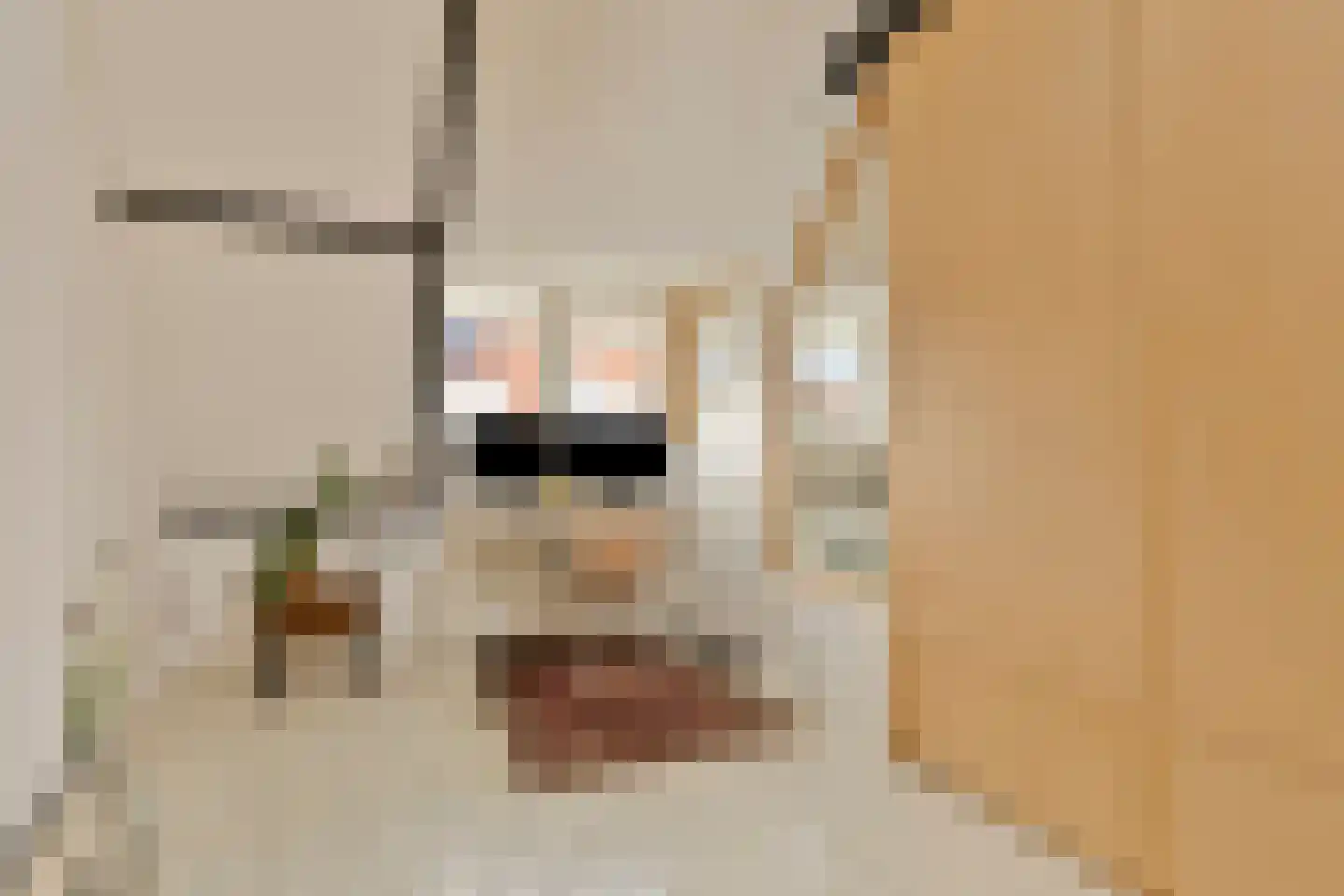 Ganzebloemstraat 45 Eindhoven thumbnail 39