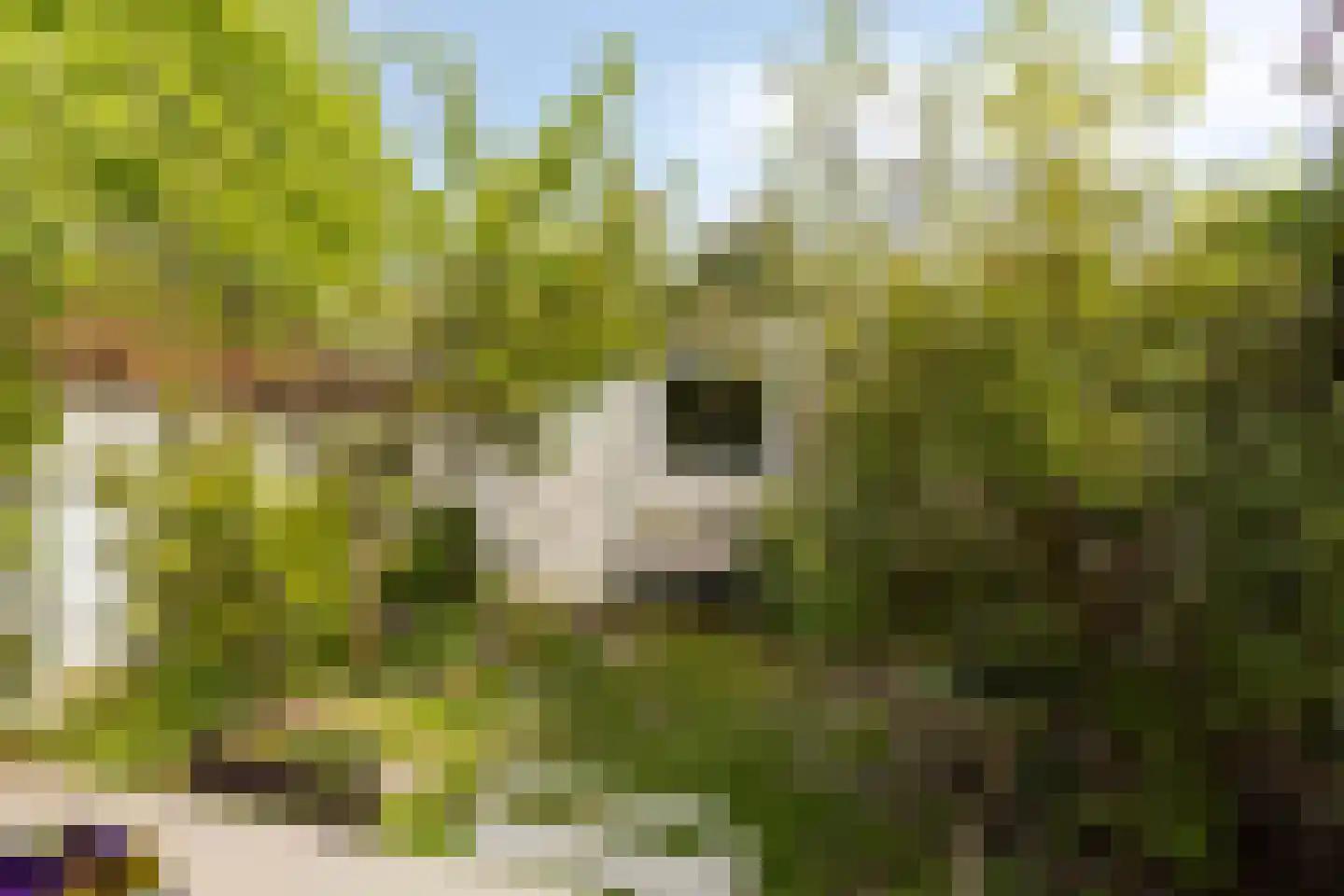 Ganzebloemstraat 45 Eindhoven thumbnail 5