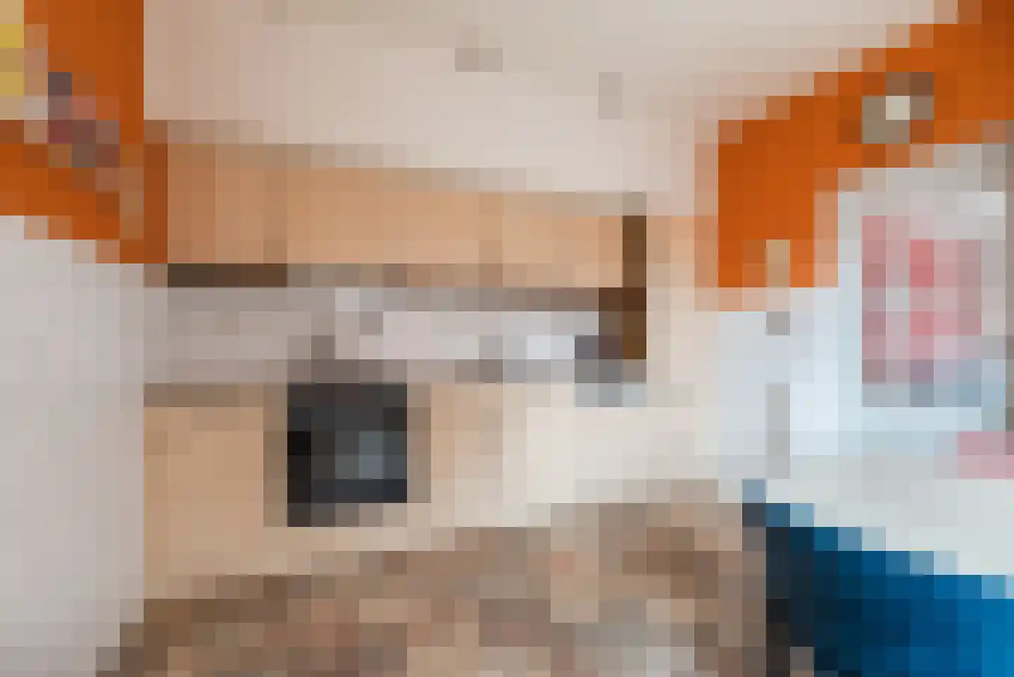 Ganzebloemstraat 5 Bergeijk thumbnail 12