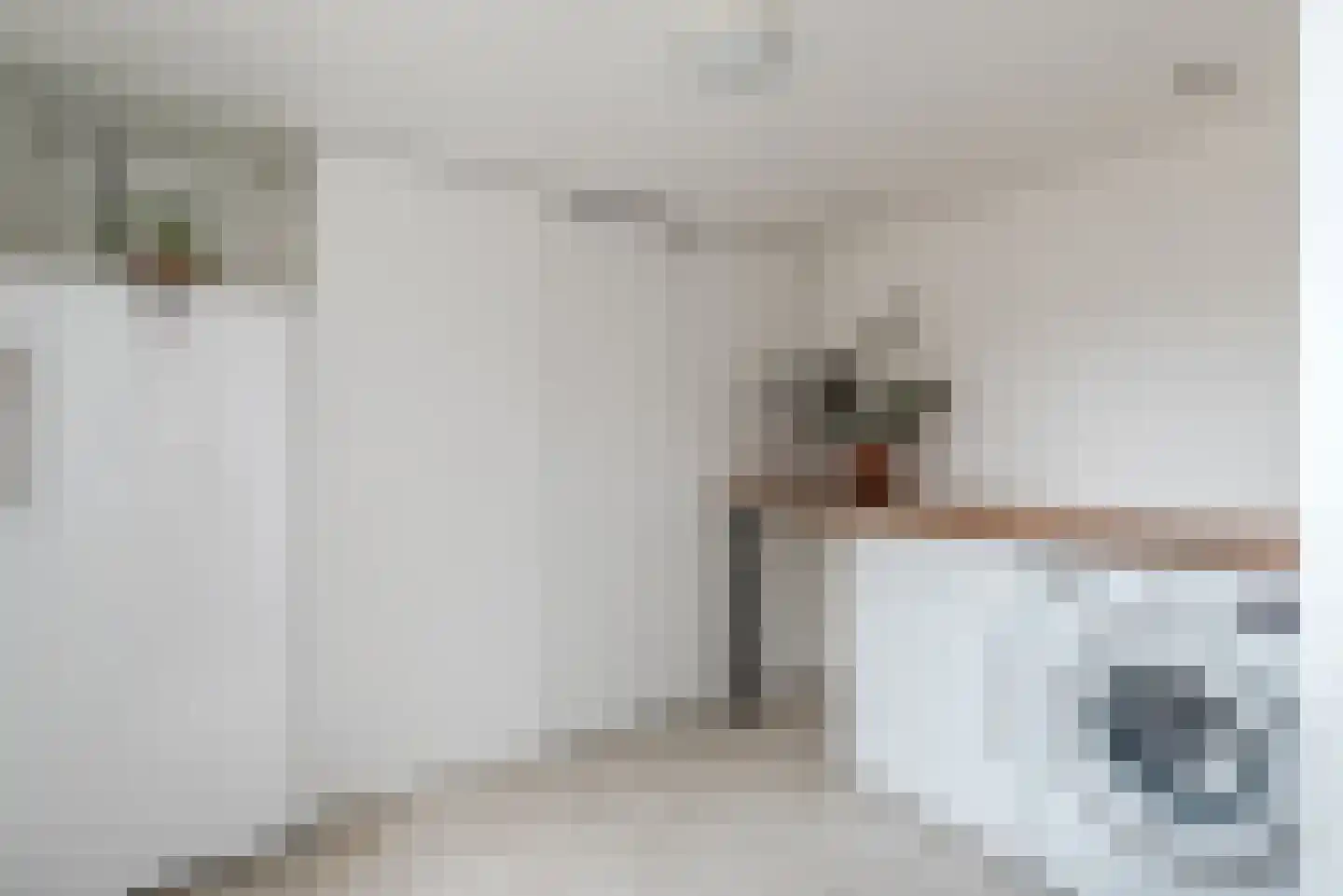 Ganzebloemstraat 5 Bergeijk thumbnail 13