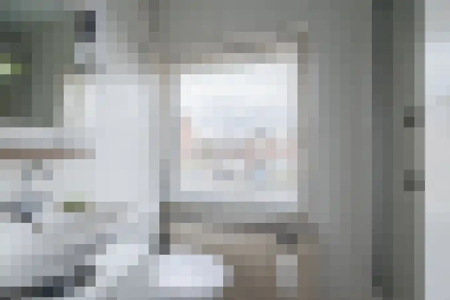 Ganzebloemstraat 5 Bergeijk thumbnail 20