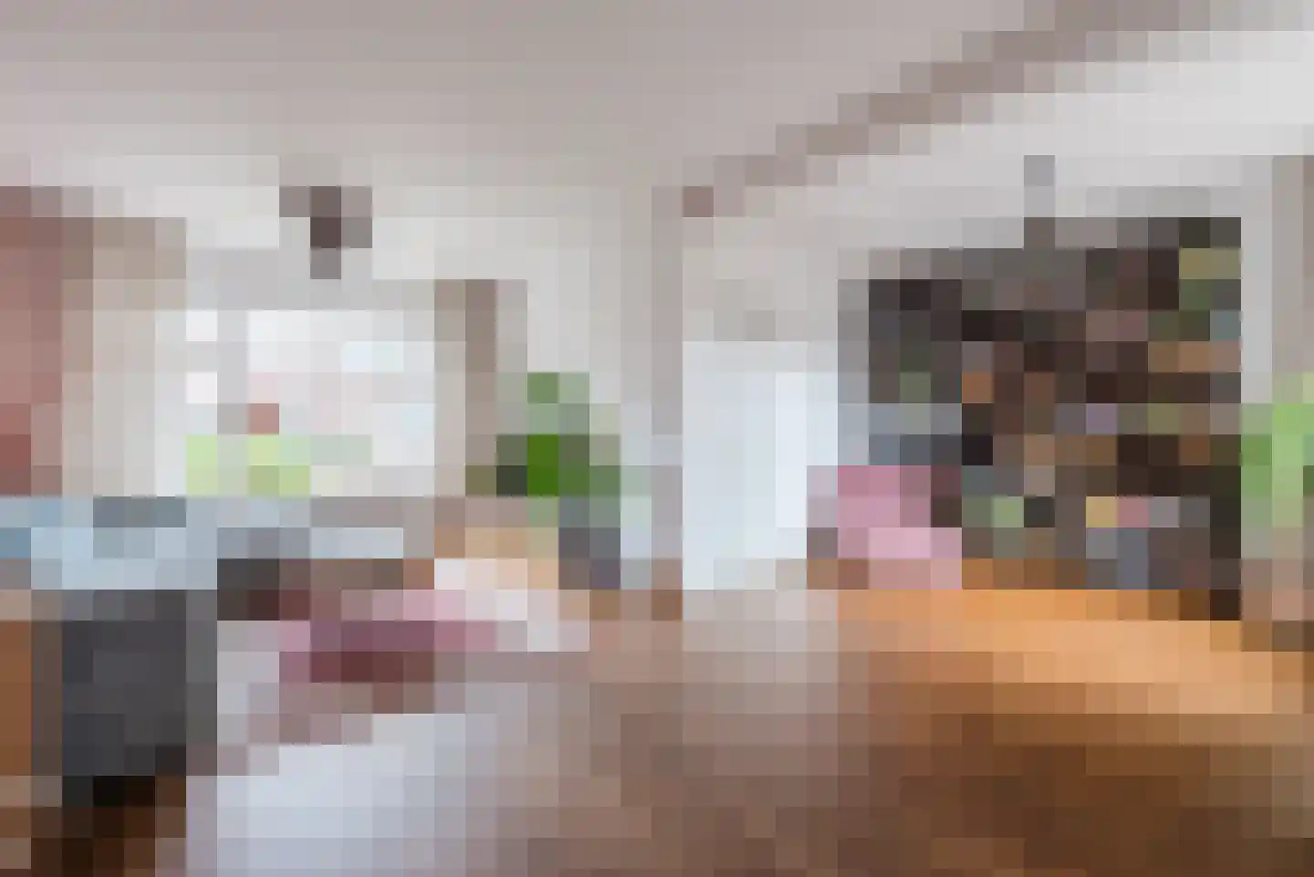 Ganzebloemstraat 5 Bergeijk thumbnail 7