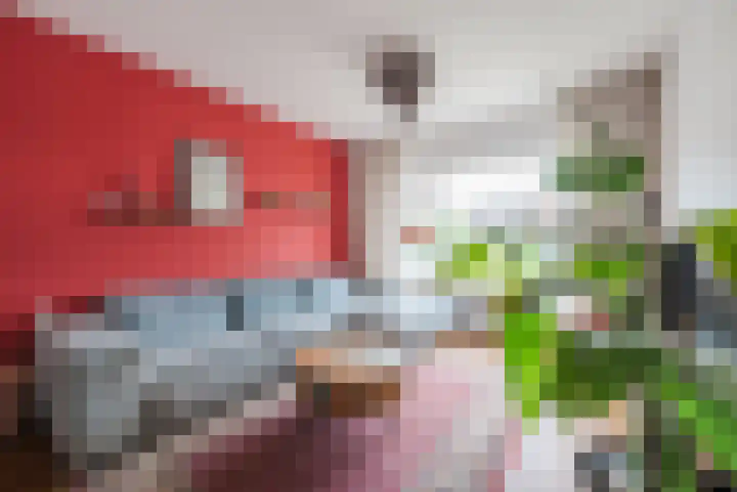 Ganzebloemstraat 5 Bergeijk thumbnail 8