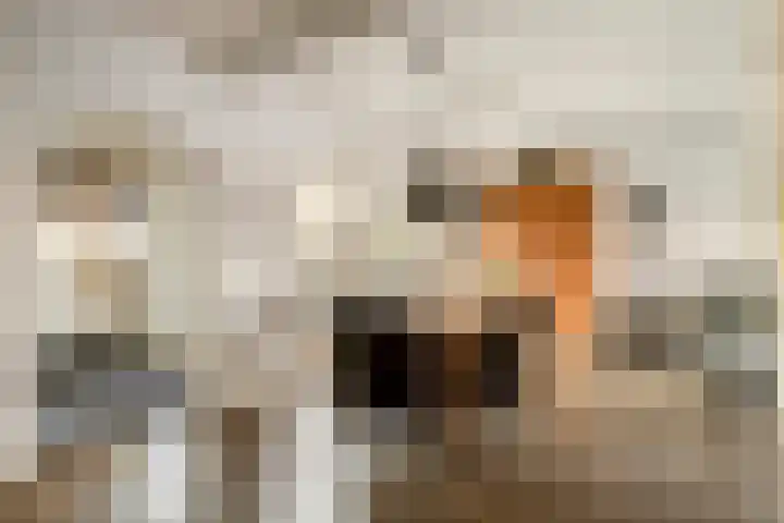 Ganzebloemstraat 7 Bergeijk thumbnail 12