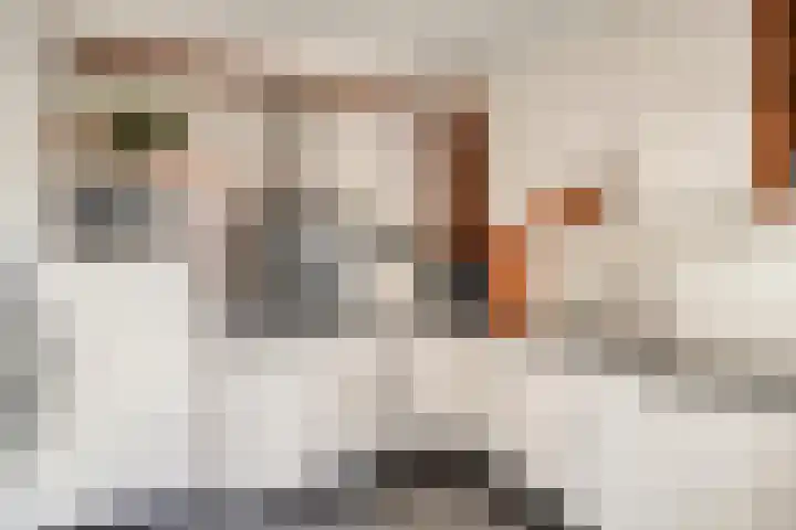 Ganzebloemstraat 7 Bergeijk thumbnail 17