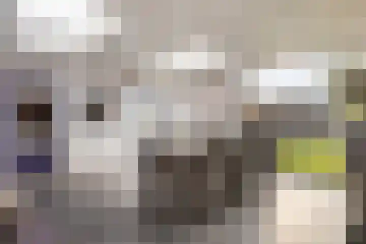Ganzebloemstraat 7 Bergeijk thumbnail 20
