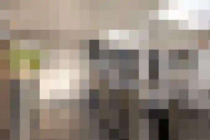 Ganzebloemstraat 7 Bergeijk thumbnail 21