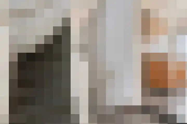 Ganzebloemstraat 7 Bergeijk thumbnail 30