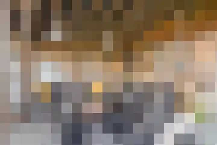 Ganzebloemstraat 7 Bergeijk thumbnail 37