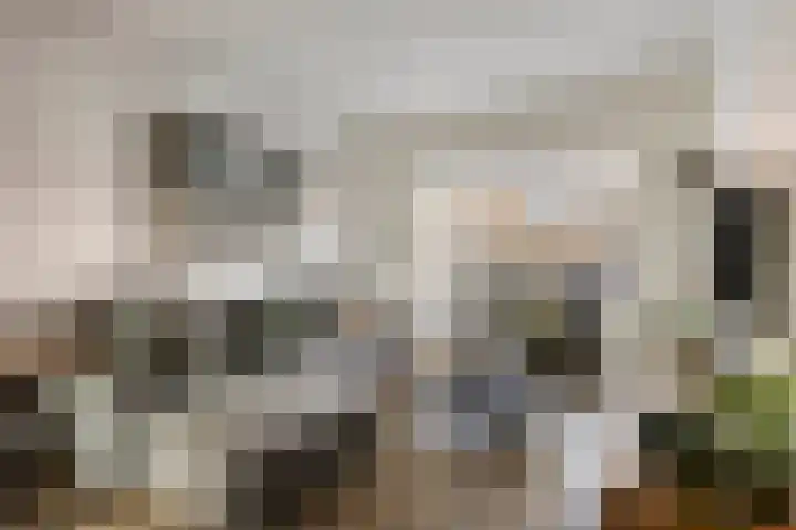 Ganzebloemstraat 7 Bergeijk thumbnail 4