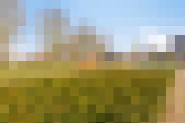Ganzebloemstraat 7 Bergeijk thumbnail 41