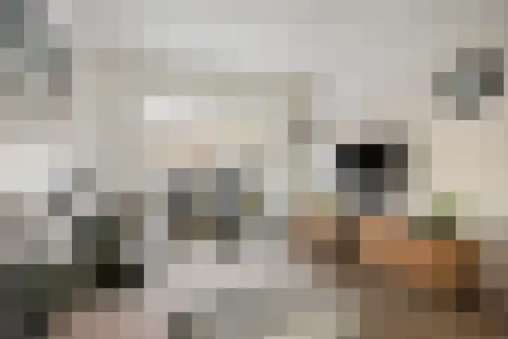 Ganzebloemstraat 7 Bergeijk thumbnail 5