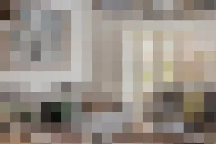 Ganzebloemstraat 7 Bergeijk thumbnail 6