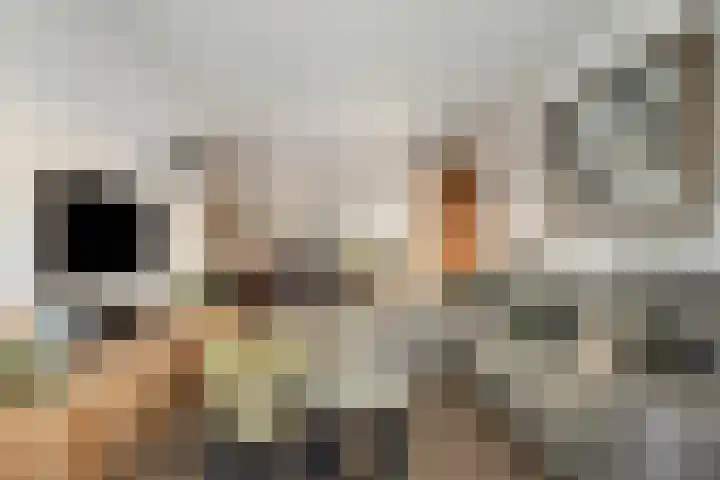 Ganzebloemstraat 7 Bergeijk thumbnail 8