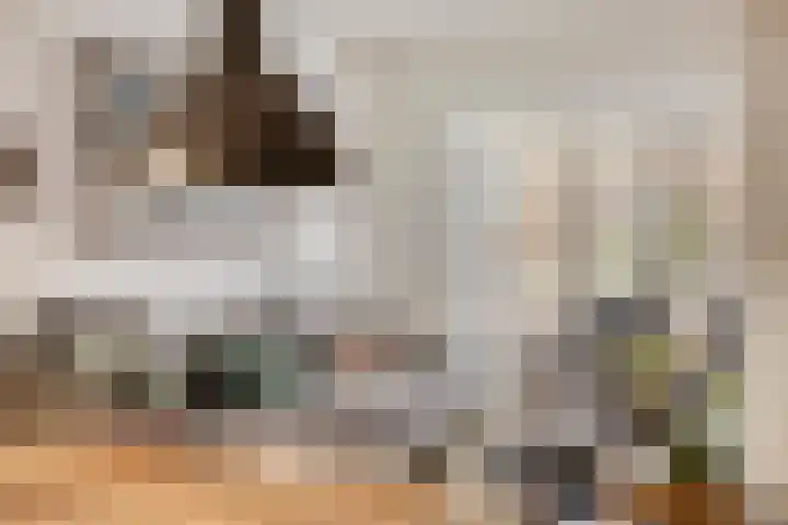 Ganzebloemstraat 7 Bergeijk thumbnail 9