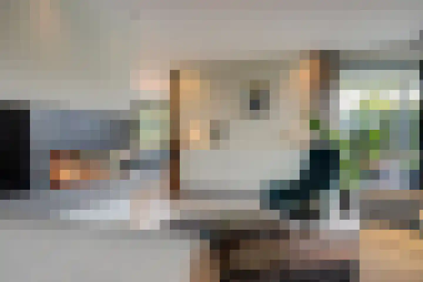 Ganzeboomsland 16 Twello thumbnail 17