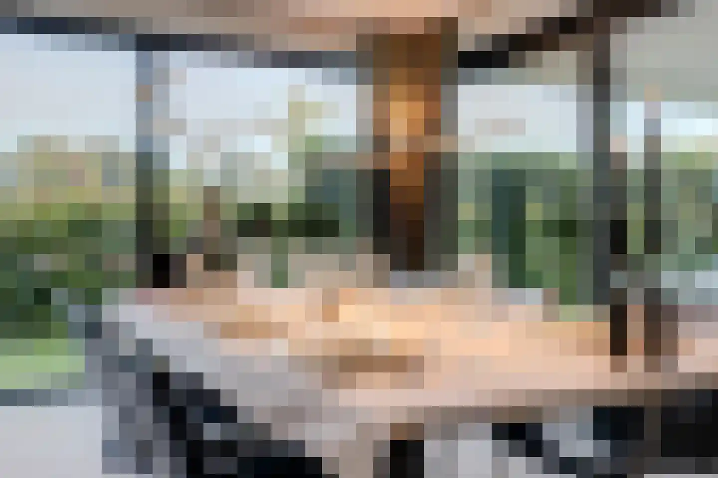 Ganzeboomsland 16 Twello thumbnail 20