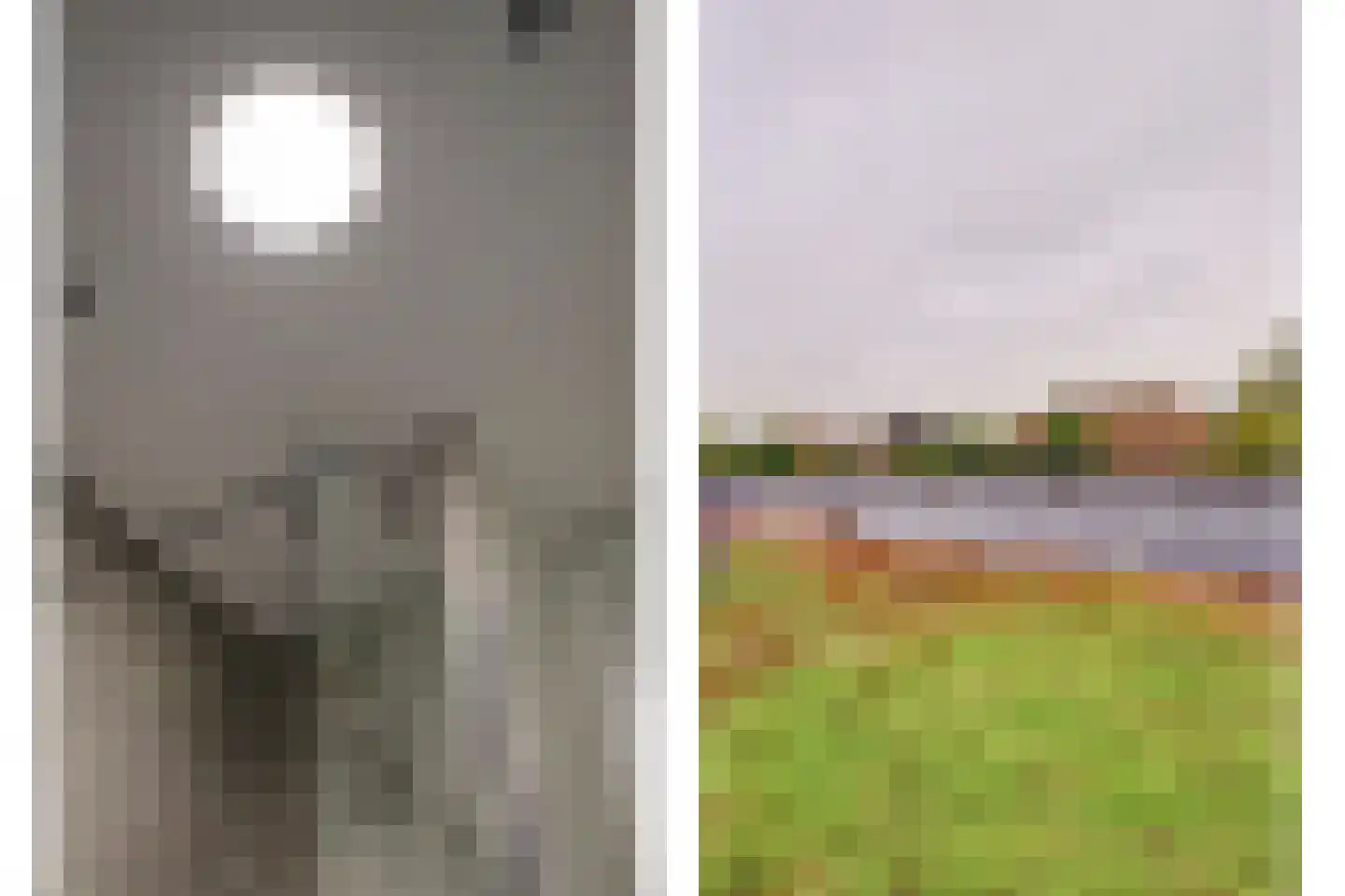 Ganzeboomsland 16 Twello thumbnail 50