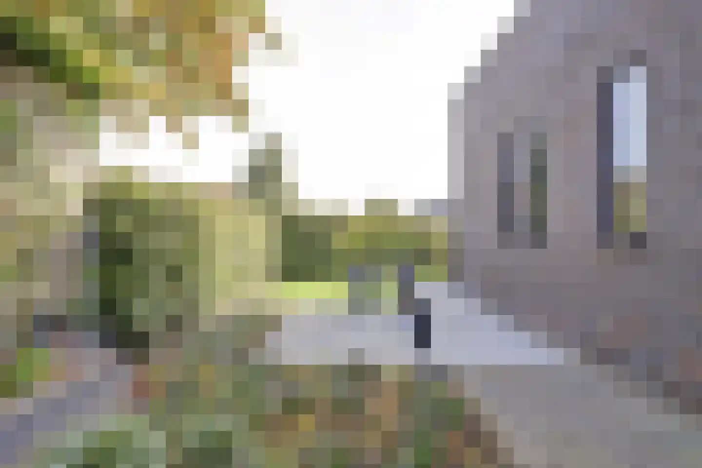 Ganzeboomsland 16 Twello thumbnail 59