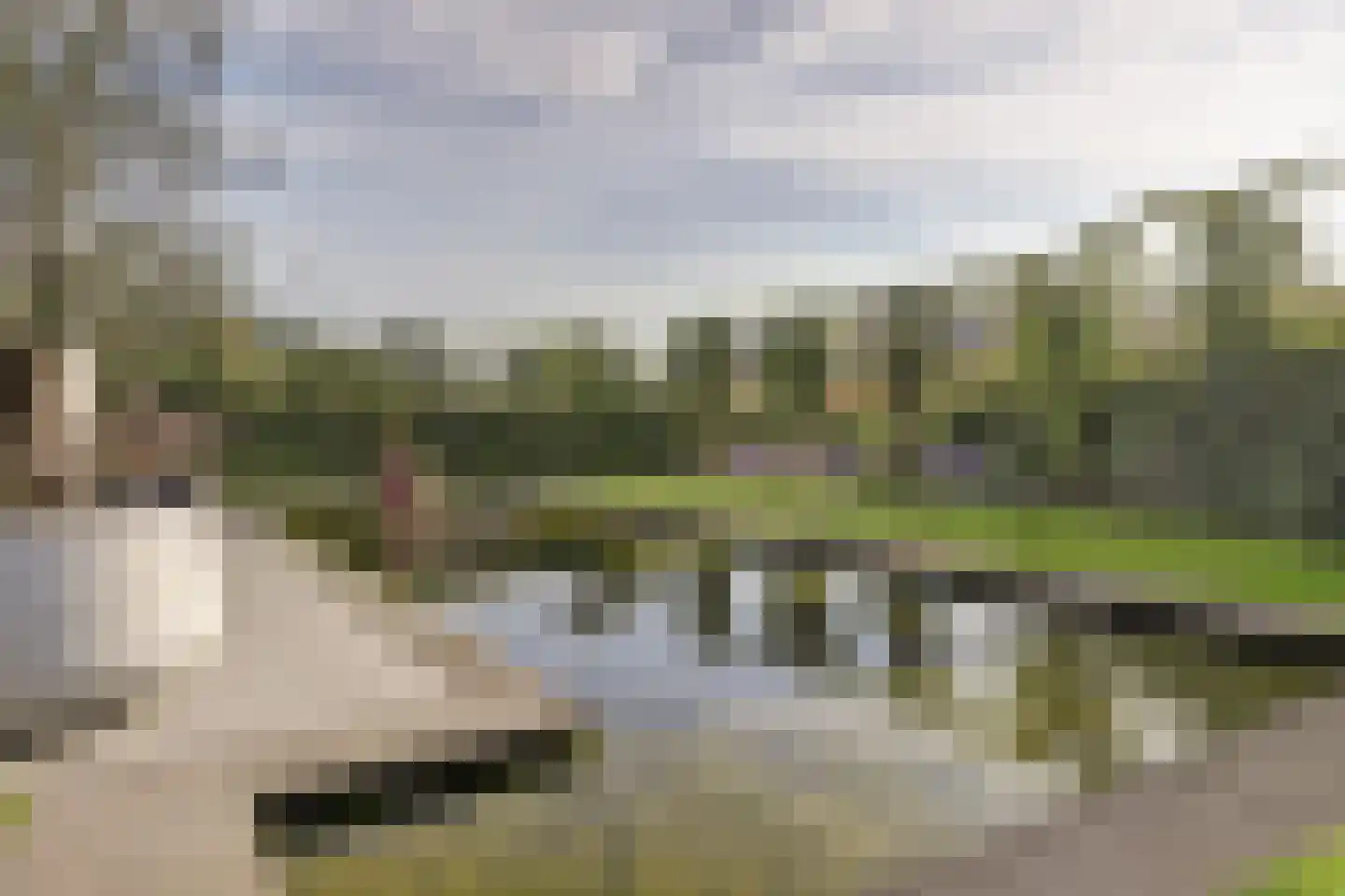 Ganzeboomsland 16 Twello thumbnail 62